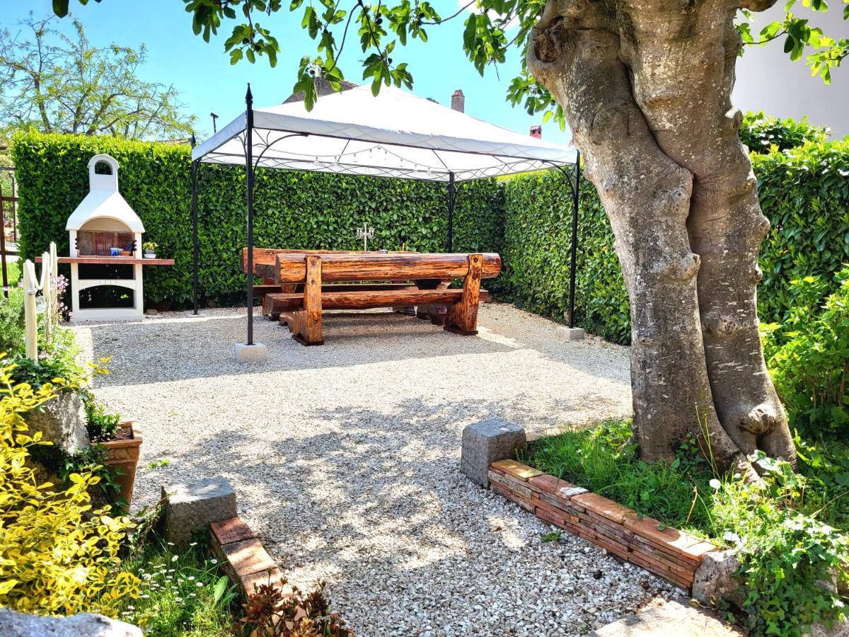 Cozy Apartment Mandula Vrsar Zewnętrze zdjęcie