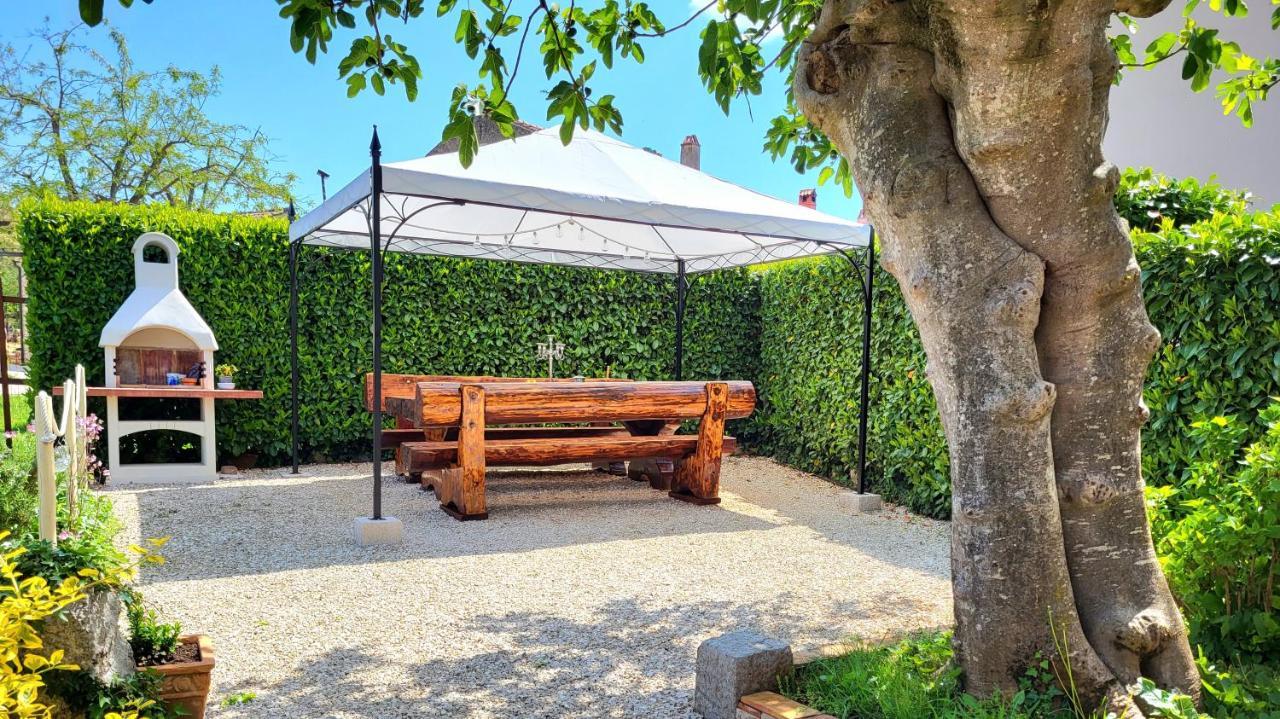 Cozy Apartment Mandula Vrsar Zewnętrze zdjęcie